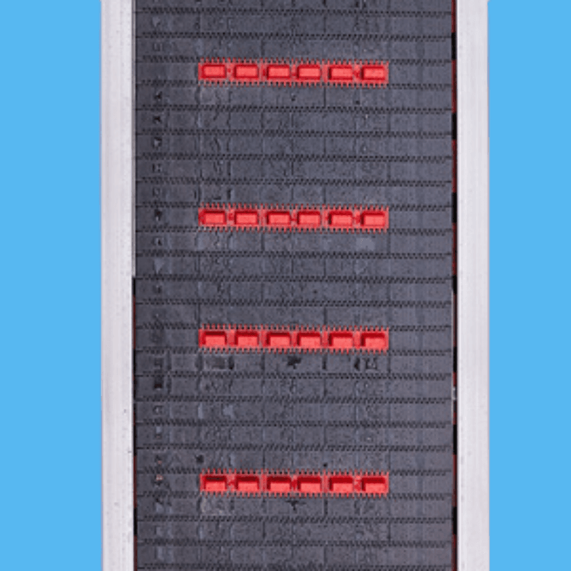 Tommy Transporter Belt